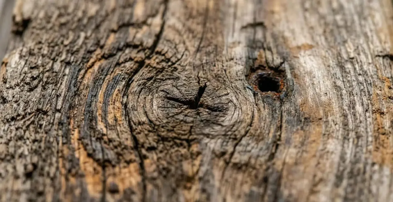 Close-up macro detail of weathered industrial pallet wood grain showing treatment marks and aged patina texture