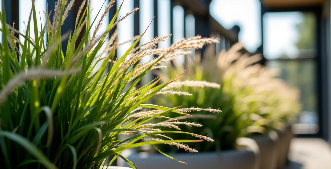 Low-profile planters with flexible plants secured on a windy balcony